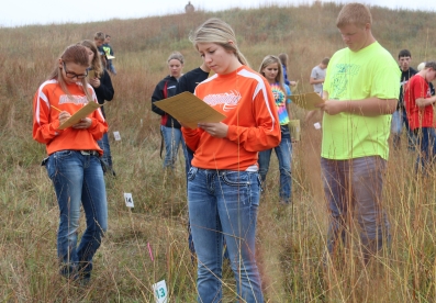 Land Judging