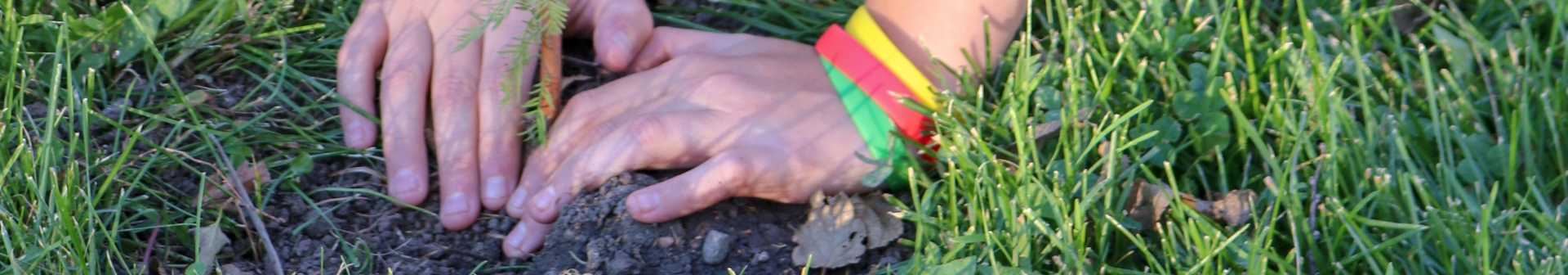 Child planting tree