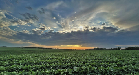 Robyn Koelling's 2023 Photo Contest Winner