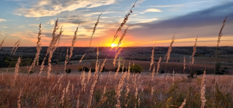 Sunset Prairie