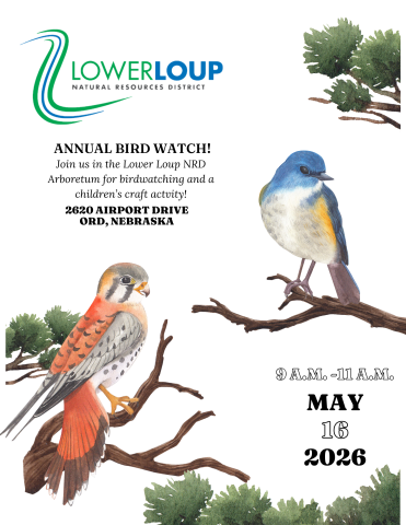 2026 bird watch flyer