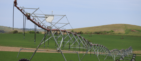 Pivot
