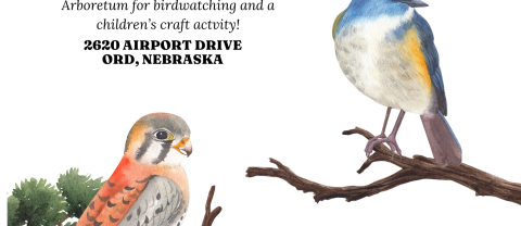 2026 bird watch flyer