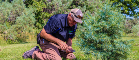 Phil Hill placing coconut mat